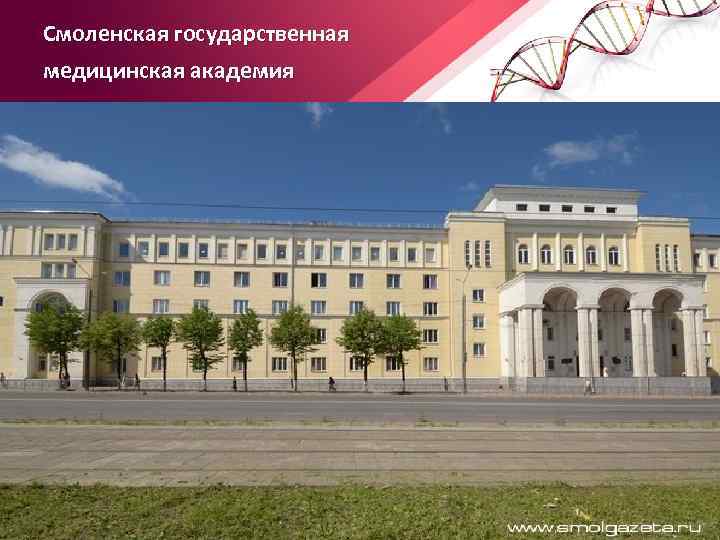 Смоленская государственная медицинская академия 