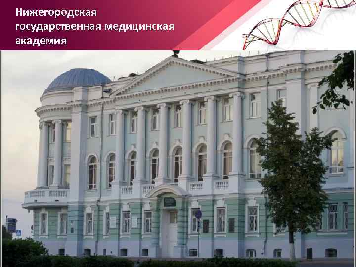 Нижегородская государственная медицинская академия 