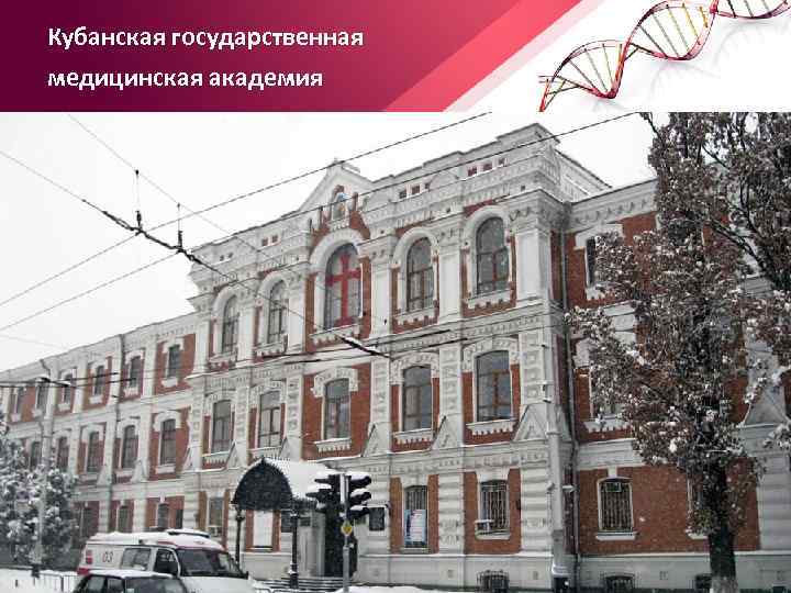 Кубанская государственная медицинская академия 