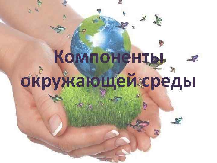 Компоненты окружающей среды 