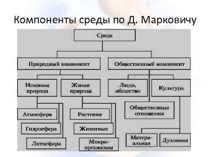 Элементами среды