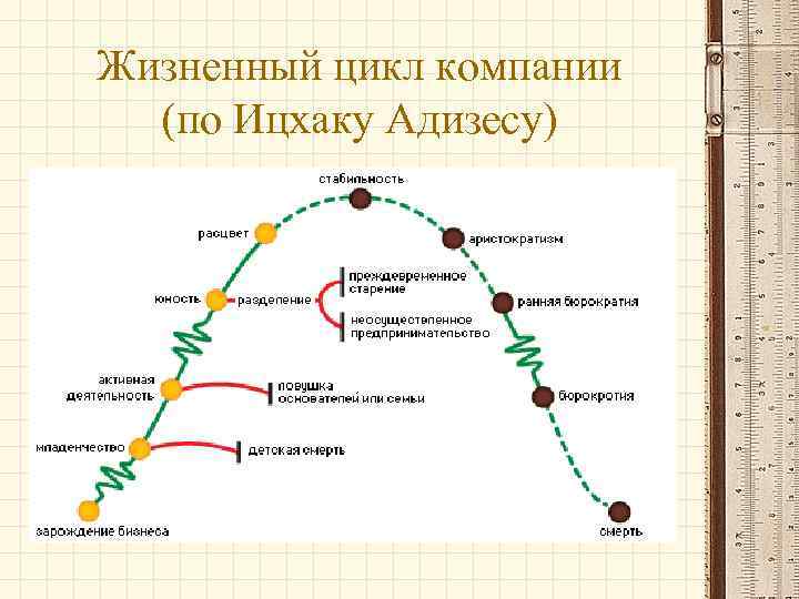 Жизненный цикл компании (по Ицхаку Адизесу) 