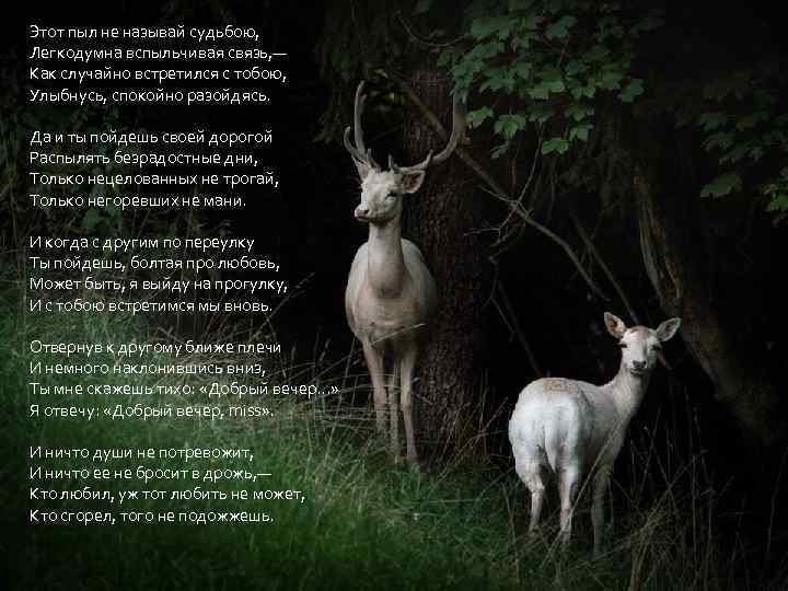 рект Этот пыл не называй судьбою, Легкодумна вспыльчивая связь, — Как случайно встретился с