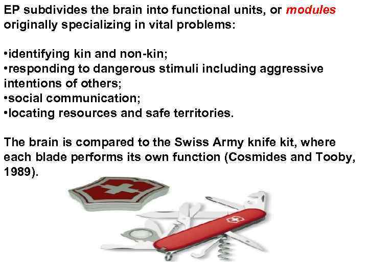 EP subdivides the brain into functional units, or modules originally specializing in vital problems: