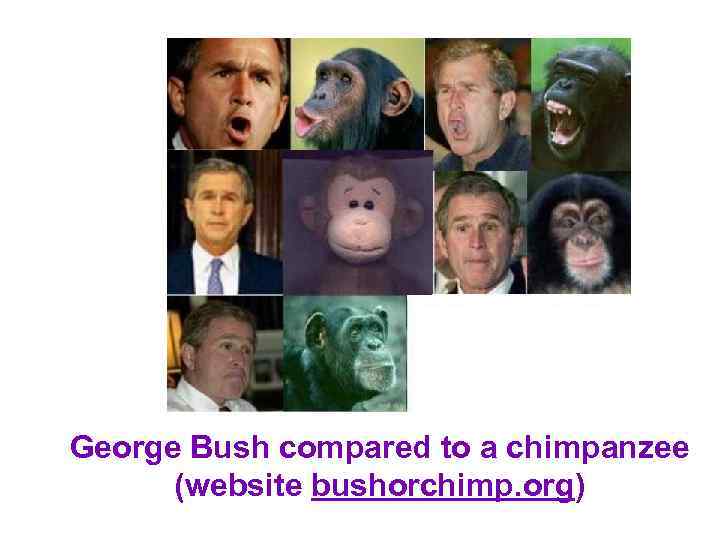 George Bush compared to a chimpanzee (website bushorchimp. org) 