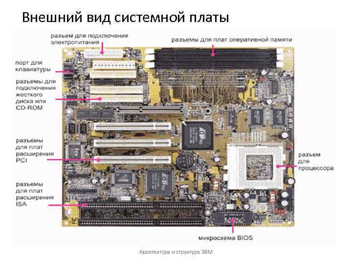 Внешний вид системной платы Архитектура и структура ЭВМ 