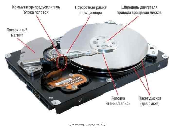 Архитектура и структура ЭВМ 