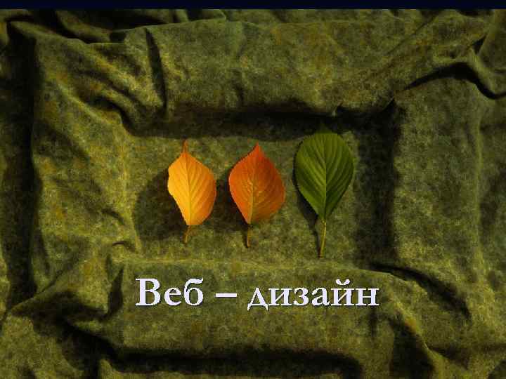 Веб – дизайн 