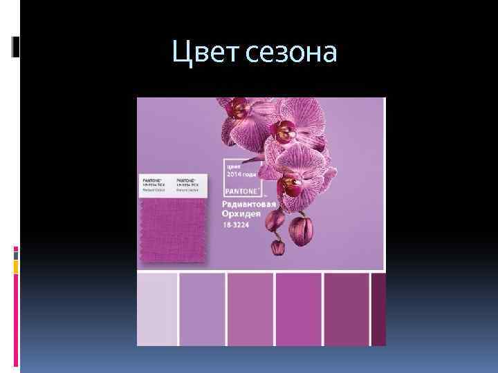  Цвет сезона 