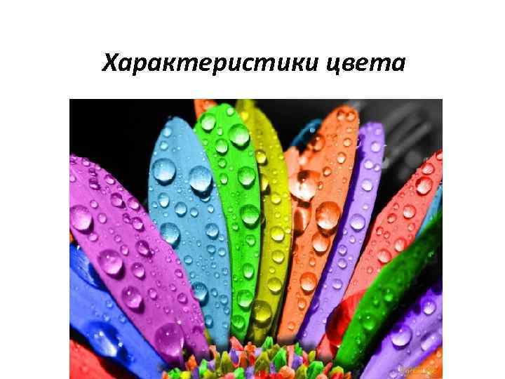 Характеристики цвета 