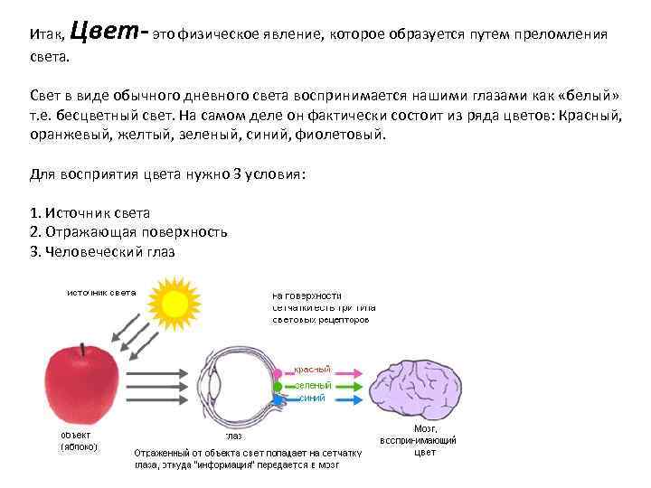 Цвет- это физическое явление, которое образуется путем преломления Итак, света. Свет в виде обычного