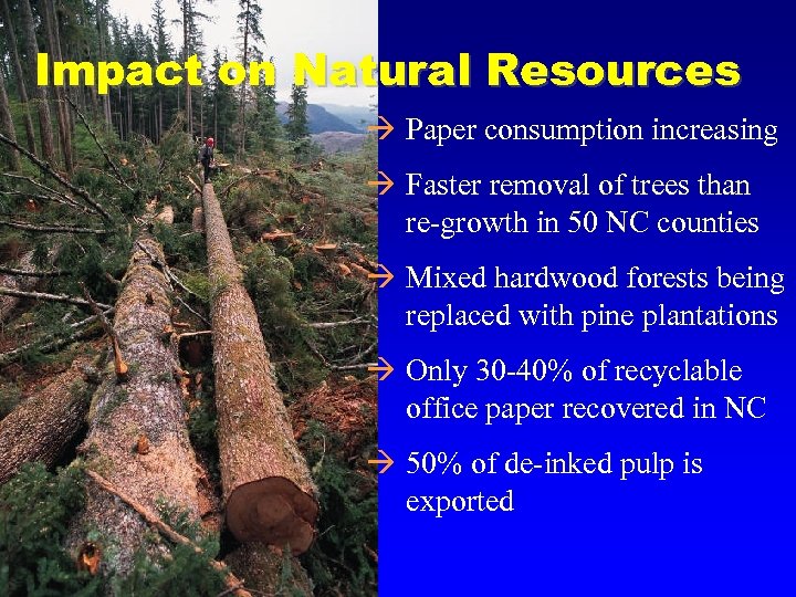 Impact on Natural Resources à Paper consumption increasing à Faster removal of trees than