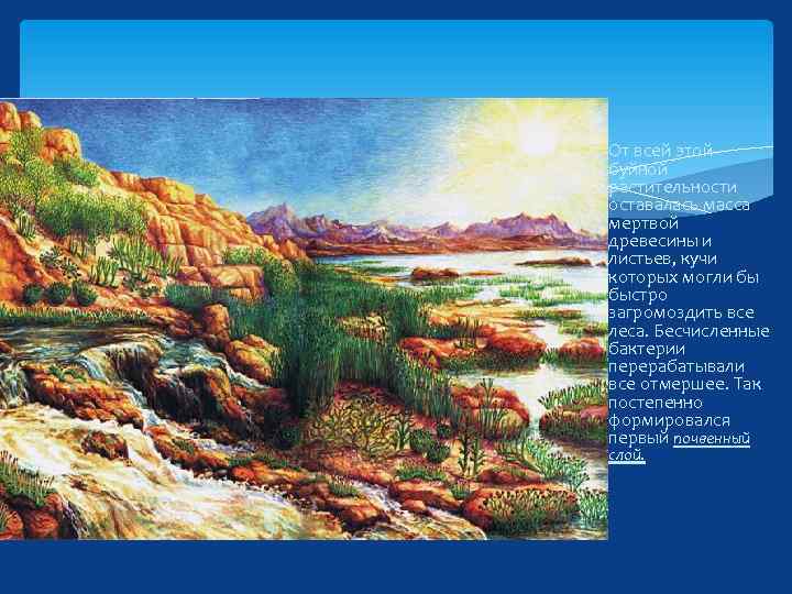  От всей этой буйной растительности оставалась масса мертвой древесины и листьев, кучи которых