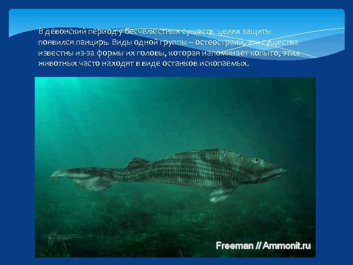 В девонский период у бесчелюстных существ целях защиты появился панцирь. Виды одной группы –