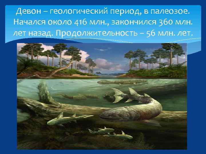 Девон – геологический период, в палеозое. Начался около 416 млн. , закончился 360 млн.