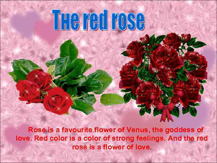 Rose is a favourite flower of Venus, the goddess of love. Red color is