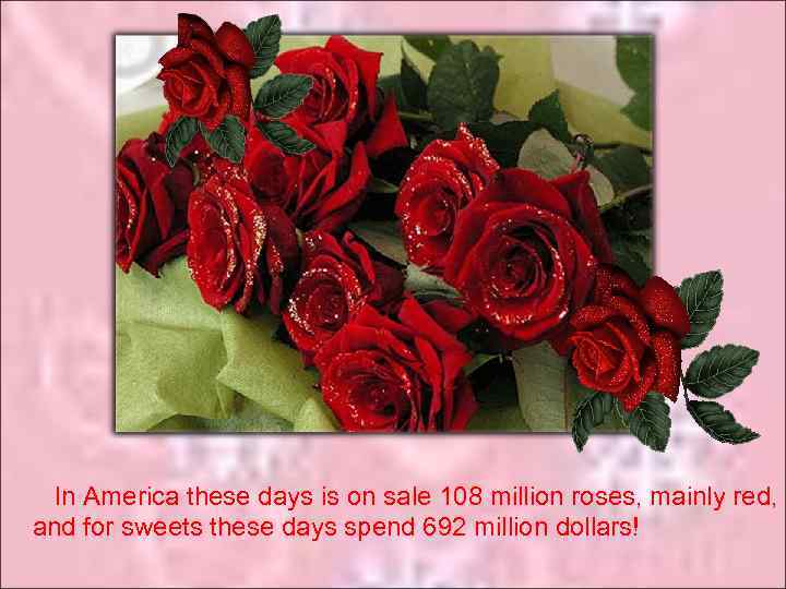 In America these days is on sale 108 million roses, mainly red, and for