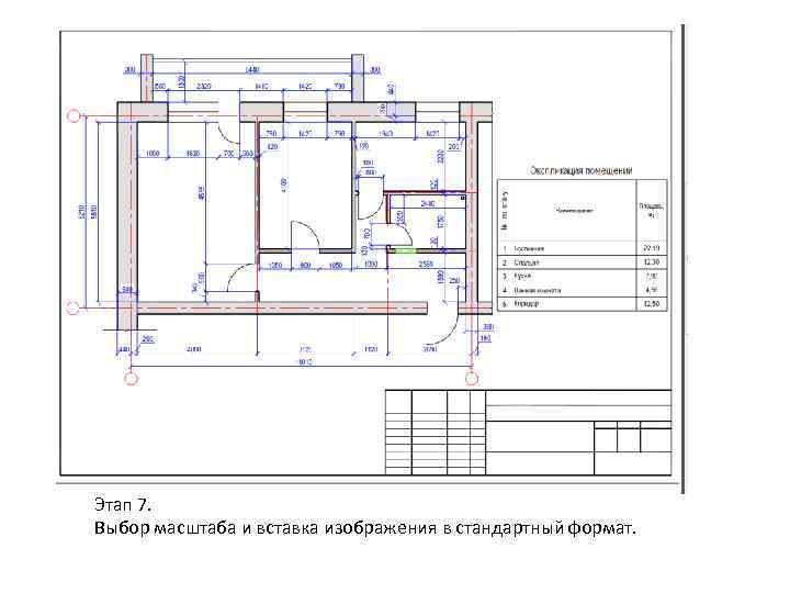 Этап 7. Выбор масштаба и вставка изображения в стандартный формат. 