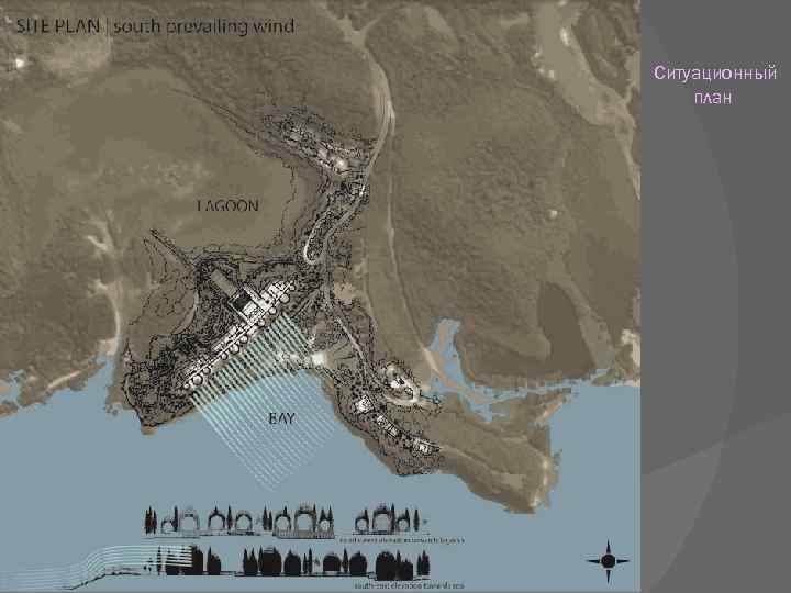 Ситуационный план 