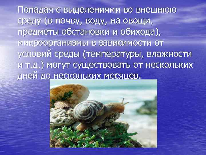 Попадая с выделениями во внешнюю среду (в почву, воду, на овощи, предметы обстановки и