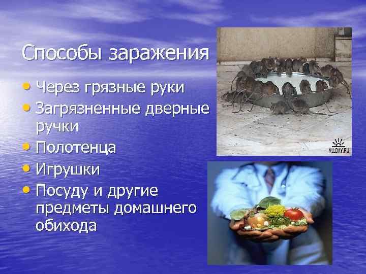 Способы заражения • Через грязные руки • Загрязненные дверные ручки • Полотенца • Игрушки