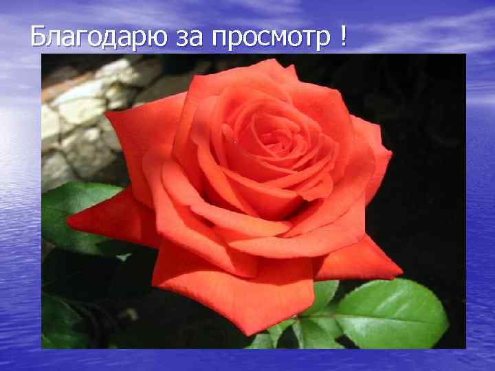 Благодарю за просмотр ! 