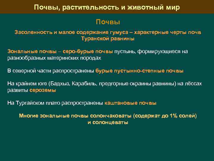 Почвы, растительность и животный мир Почвы Засоленность и малое содержание гумуса – характерные черты