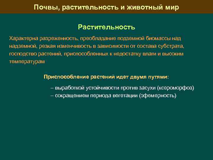 Почвы, растительность и животный мир Растительность Характерна разреженность, преобладание подземной биомассы надземной, резкая изменчивость