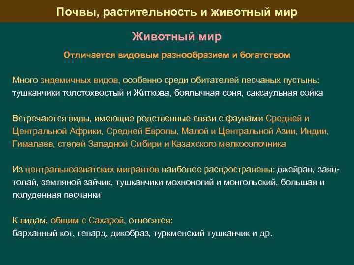 Почвы, растительность и животный мир Животный мир Отличается видовым разнообразием и богатством Много эндемичных