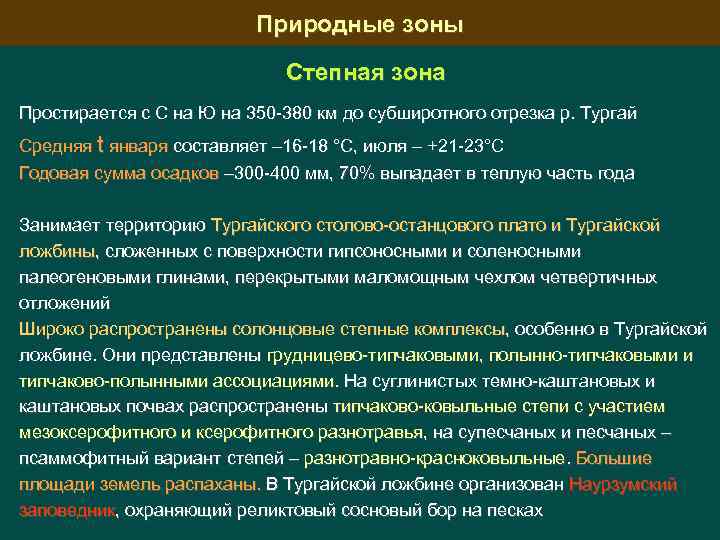 Природные зоны Степная зона Простирается с С на Ю на 350 -380 км до