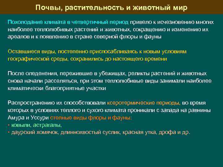 Почвы, растительность и животный мир Похолодание климата в четвертичный период привело к исчезновению многих