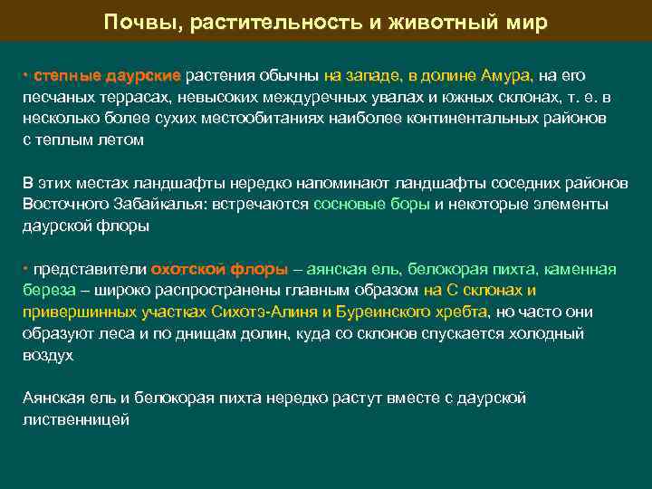 Почвы, растительность и животный мир • степные даурские растения обычны на западе, в долине