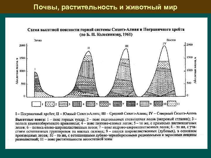 Презентация по географии 8 класс субтропики высотная поясность в горах полярная звезда