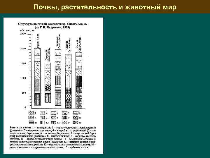 Почвы, растительность и животный мир 