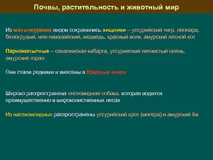 Почвы, растительность и животный мир Из маньчжурских видов сохранились хищники – уссурийский тигр, леопард,