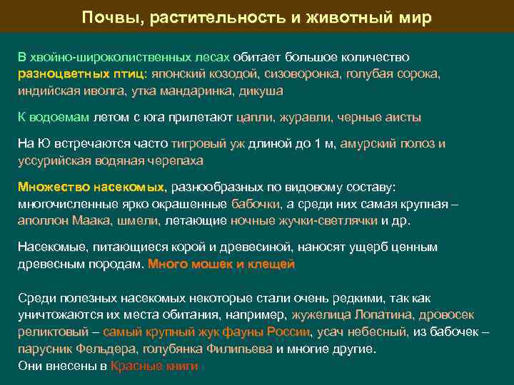 Почвы, растительность и животный мир В хвойно-широколиственных лесах обитает большое количество разноцветных птиц: японский