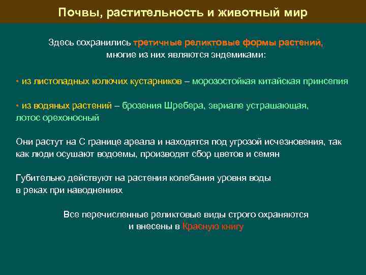 Почвы, растительность и животный мир Здесь сохранились третичные реликтовые формы растений, многие из них