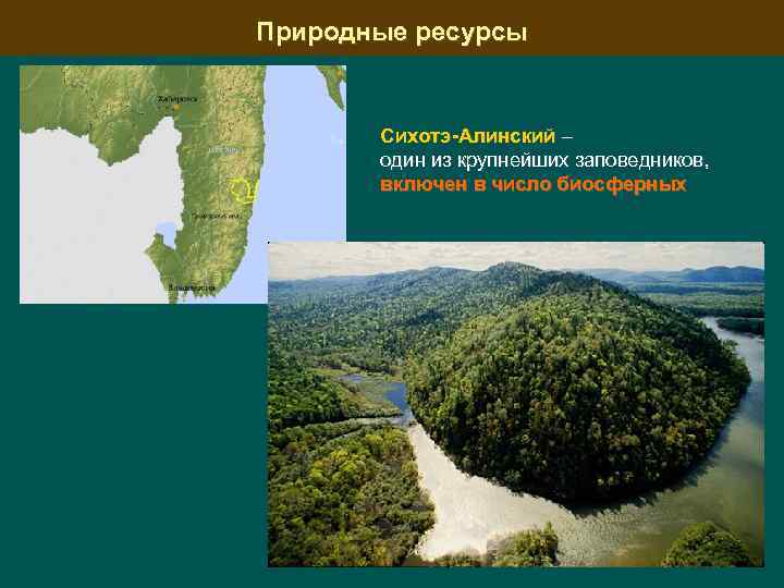 Природные ресурсы Сихотэ-Алинский – один из крупнейших заповедников, включен в число биосферных 