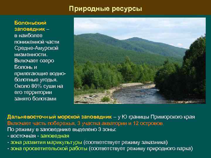 Приморские ресурсы. Болоньский заповедник Хабаровский край презентация. Природные ресурсы Приморского края. Природные богатства Приморского края. Хабаровск природные ресурсы.