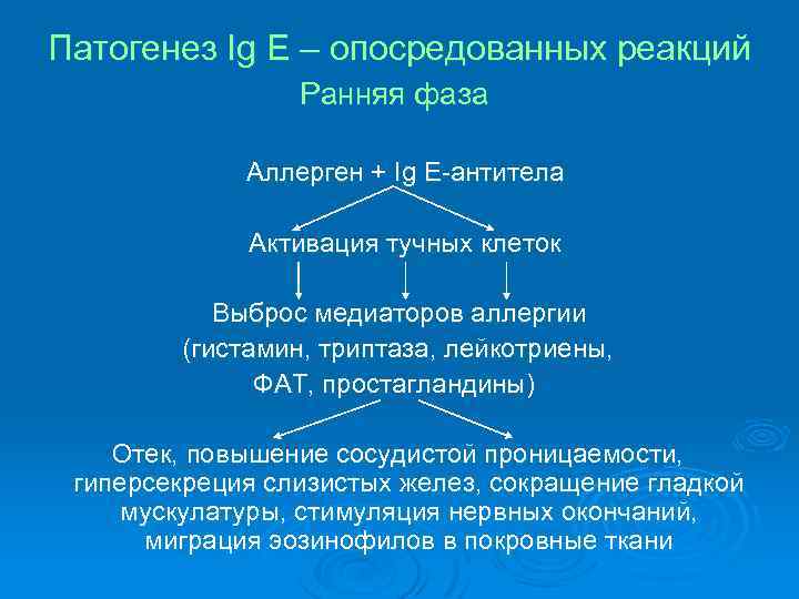 Патогенез Ig Е – опосредованных реакций Ранняя фаза Аллерген + Ig Е-антитела Активация тучных