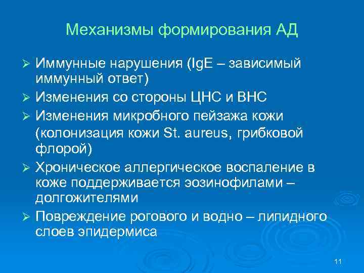 Механизмы формирования АД Иммунные нарушения (Ig. E – зависимый иммунный ответ) Ø Изменения со