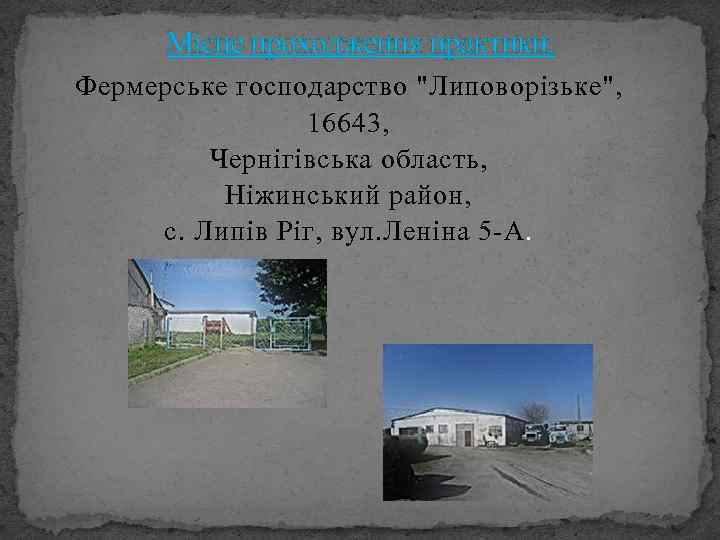 Місце проходження практики: Фермерське господарство "Липоворізьке", 16643, Чернігівська область, Ніжинський район, с. Липів Ріг,