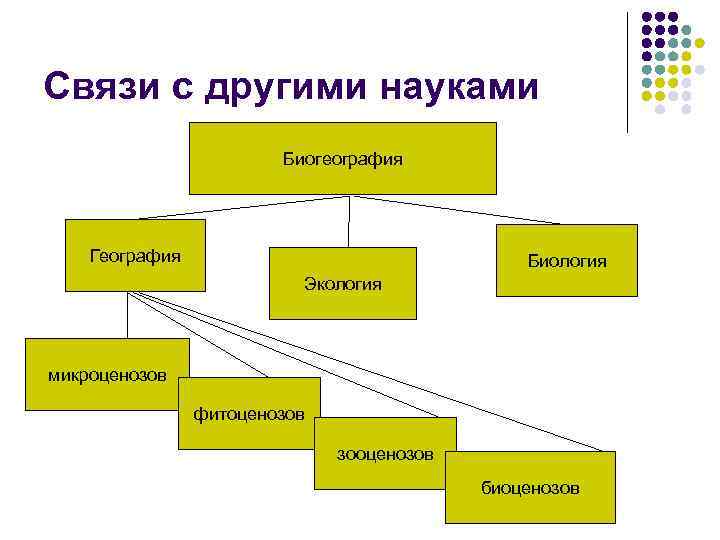 Схема взаимосвязь экологии с другими науками