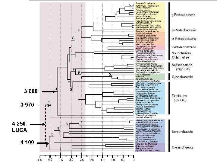 3 600 3 970 4 250 LUCA 4 100 