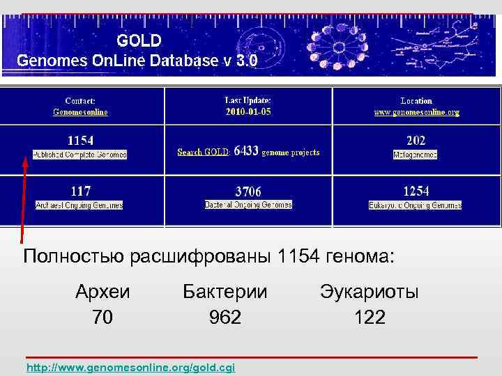 Полностью расшифрованы 1154 генома: Археи 70 Бактерии 962 http: //www. genomesonline. org/gold. cgi Эукариоты