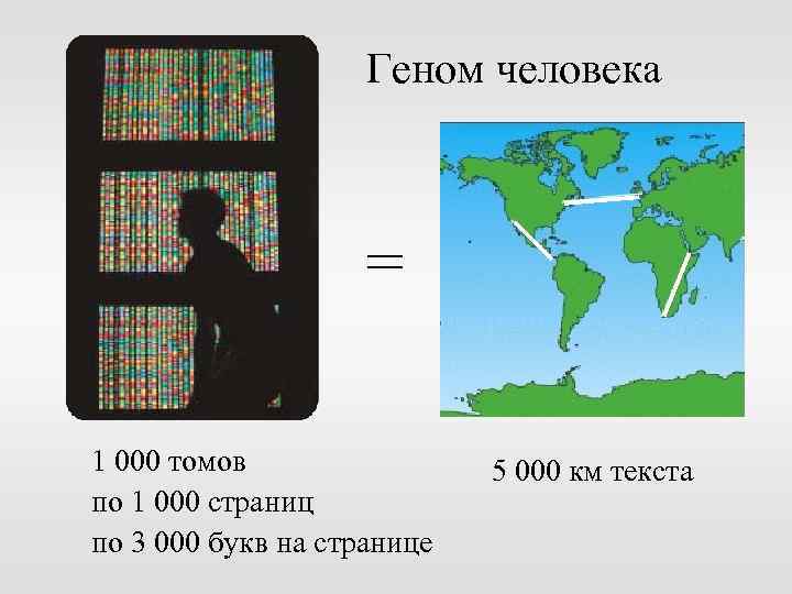 Геном человека = 1 000 томов по 1 000 страниц по 3 000 букв