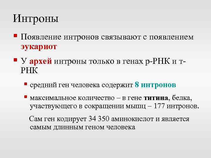 Интроны § Появление интронов связывают с появлением эукариот § У архей интроны только в