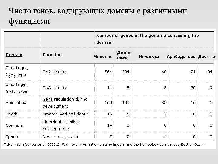 Число генов, кодирующих домены с различными функциями Человек Дрозофила Нематода Арабидопсис Дрожжи 