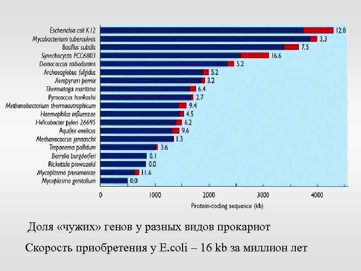 Доля «чужих» генов у разных видов прокариот Скорость приобретения у E. coli – 16