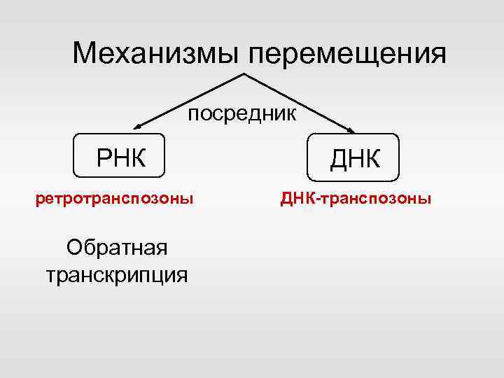 Механизмы перемещения посредник РНК ретротранспозоны Обратная транскрипция ДНК-транспозоны 
